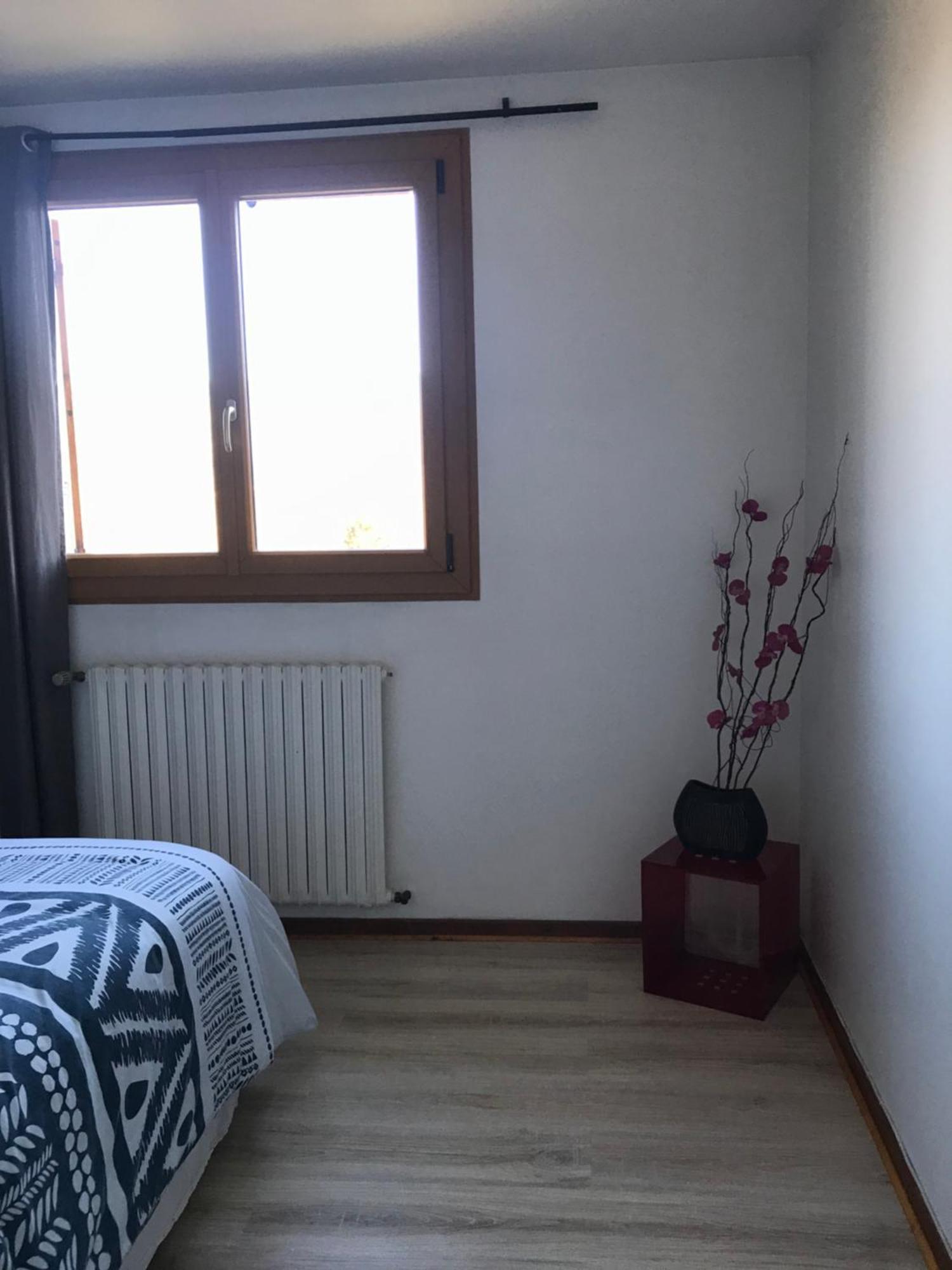 Appartement Dans Maison Brié-et-Angonnes エクステリア 写真