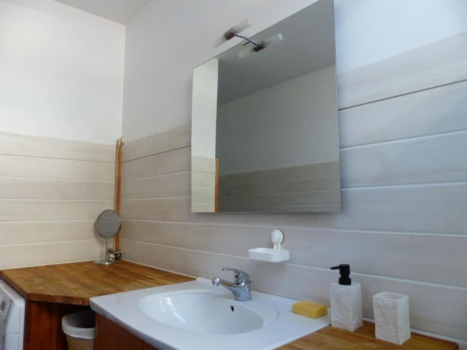 Appartement Dans Maison Brié-et-Angonnes エクステリア 写真