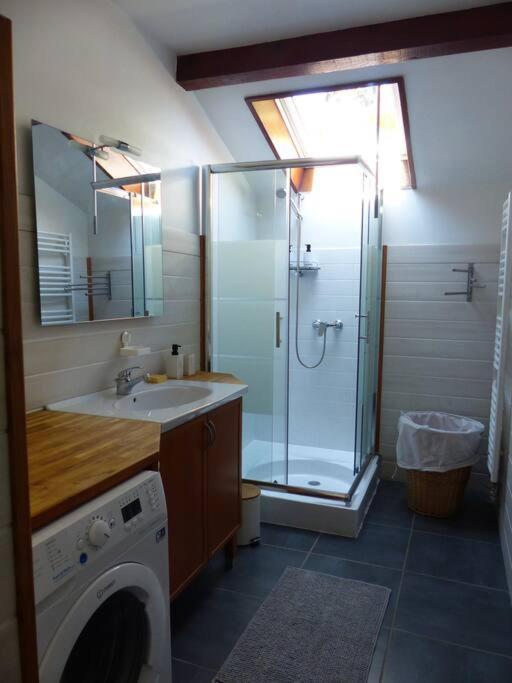 Appartement Dans Maison Brié-et-Angonnes エクステリア 写真